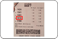 Winning Ticket Toto 4D Consolation Prize - 25 October 2023